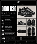 Dior B30 Supplier
